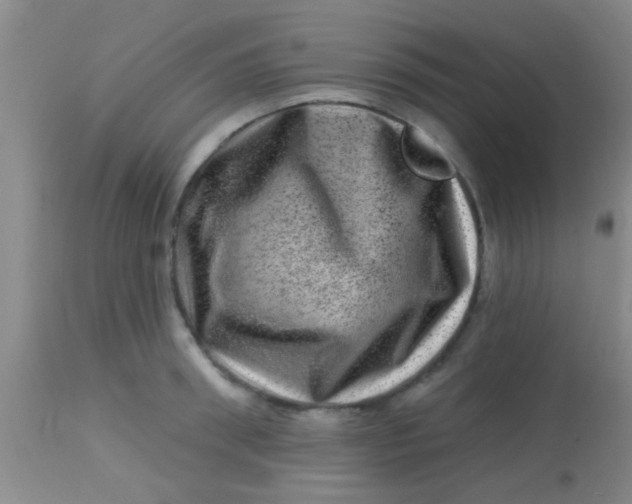 X0000113860898200910151233