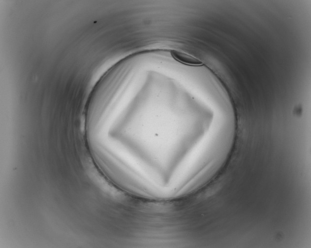 X0000113860900200910151233