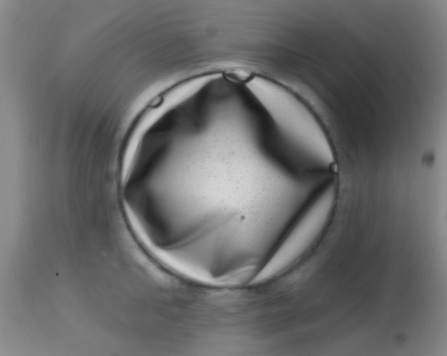 X0000113860902200910151233
