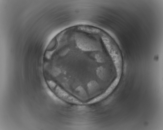 X0000113860903200910151233