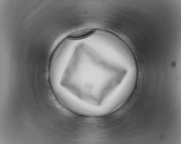 X0000113860904200910151233