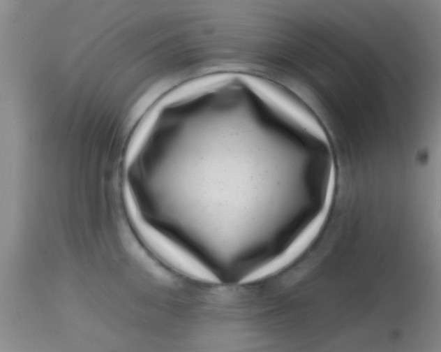 X0000113860906200910151233