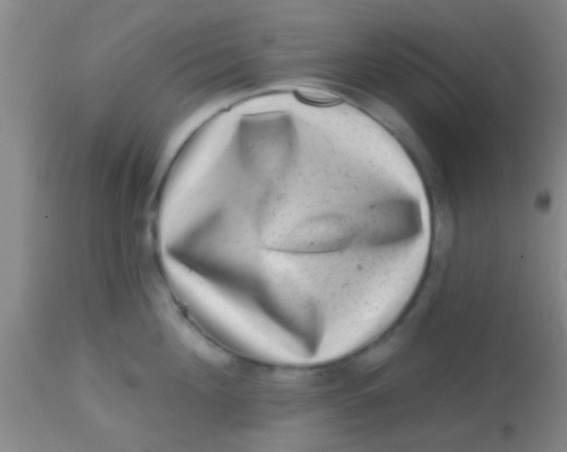 X0000113860908200910151233
