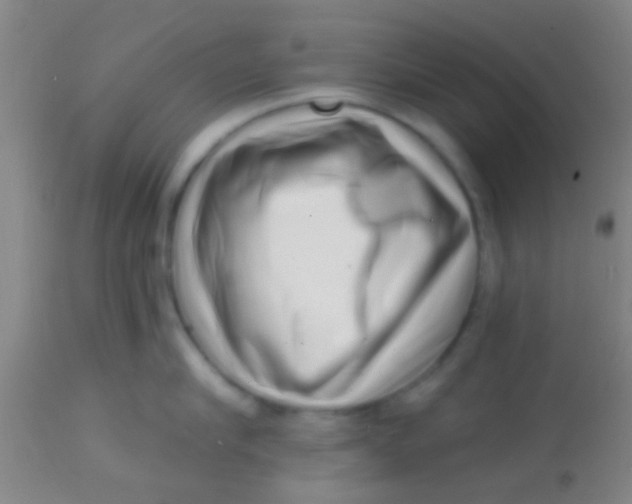 X0000113860910200910151233