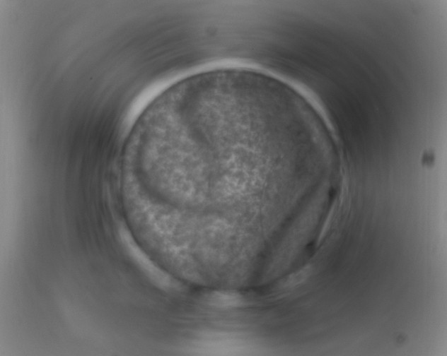 X0000113860911200910151233