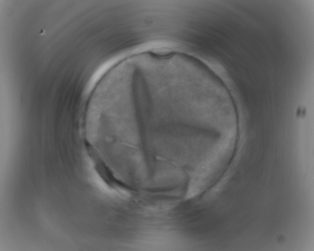 X0000113860912200910151233