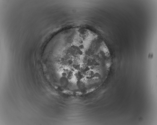 X0000113860913200910151232