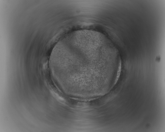 X0000113860914200910151232