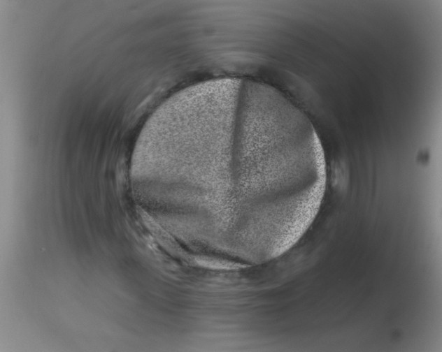 X0000113860915200910151232