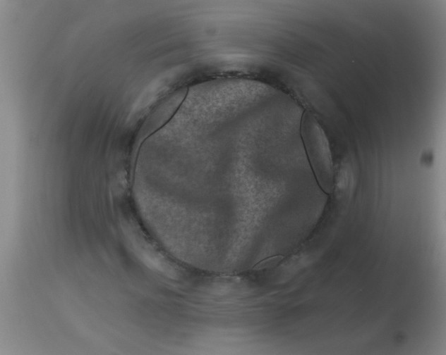 X0000113860916200910151232