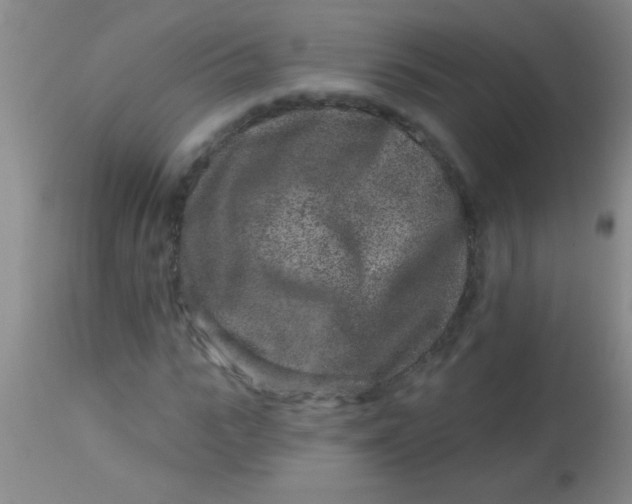 X0000113860919200910151232
