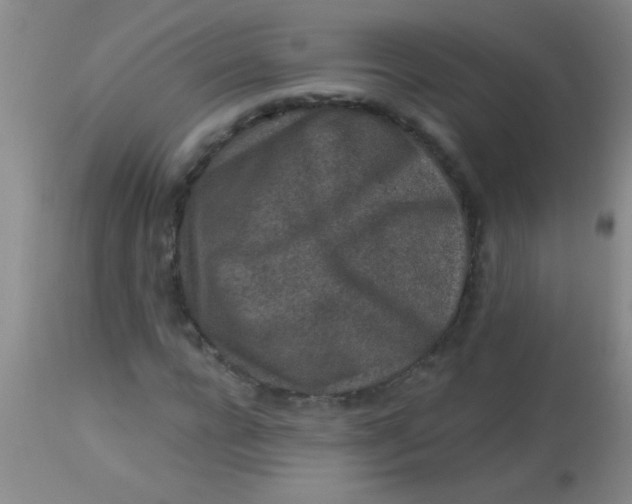 X0000113860920200910151232