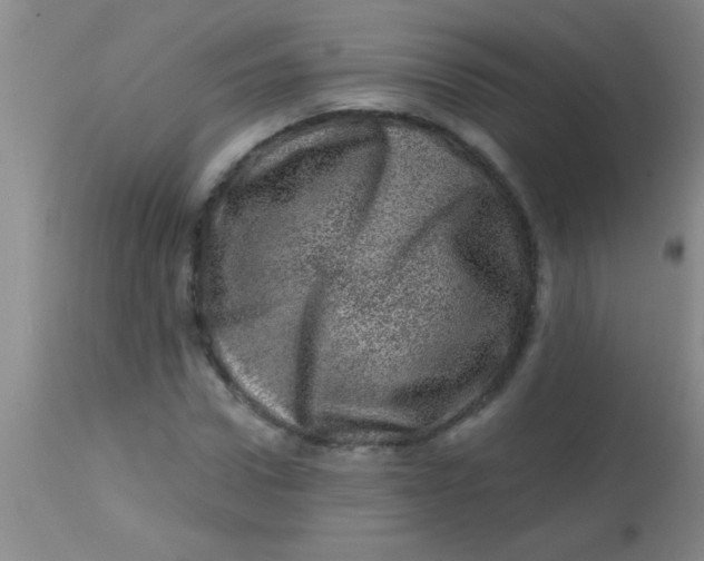 X0000113860922200910151232