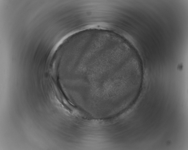 X0000113860923200910151233