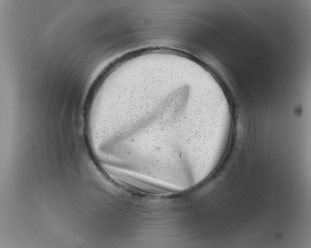X0000113860924200910151233