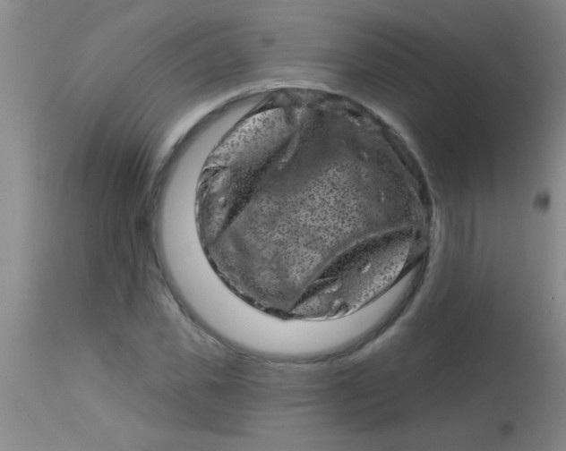X0000113860925200910151233