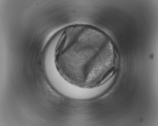 X0000113860926200910151233
