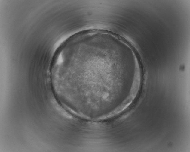 X0000113860928200910151233