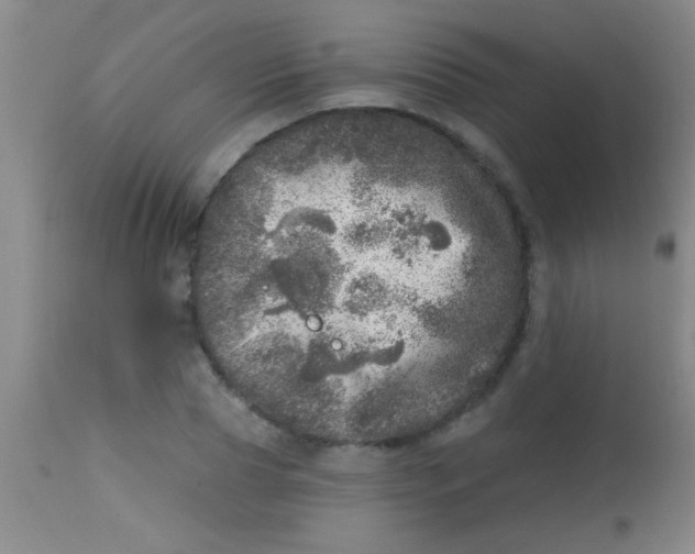 X0000113860929200910151233