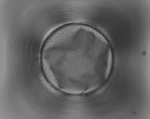 X0000113860932200910151233