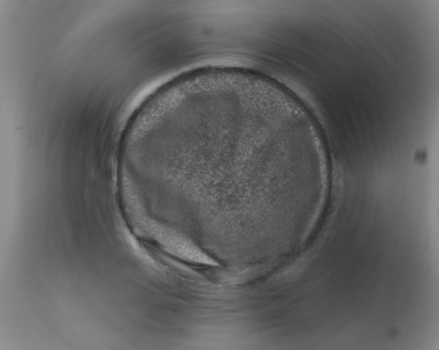 X0000113860935200910151233