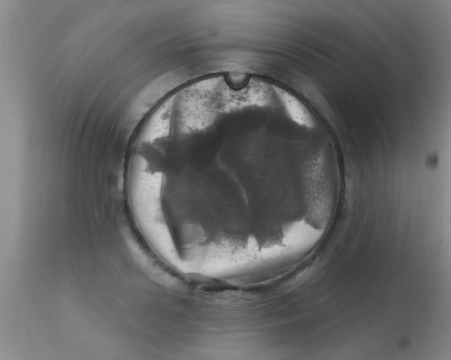 X0000113860938200910151233