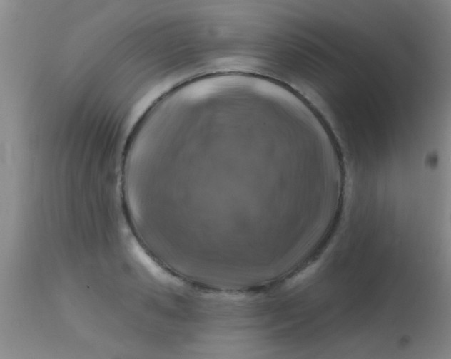 X0000113860941200910151233