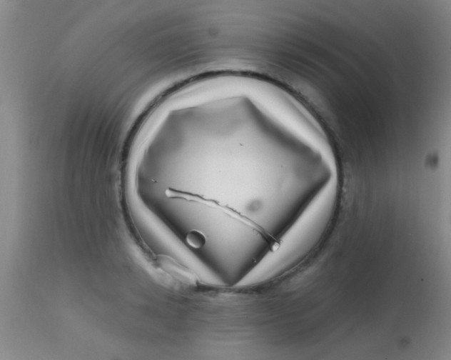 X0000113860942200910151233
