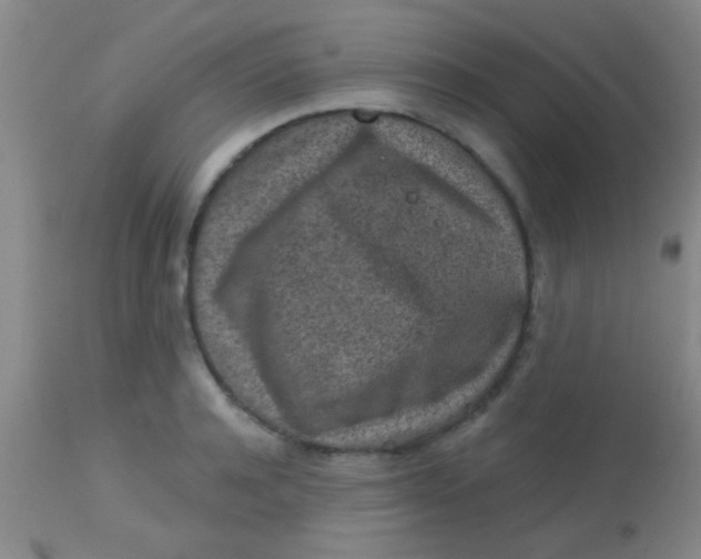 X0000113860944200910151233