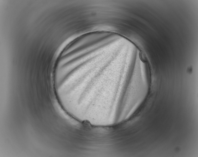 X0000113860947200910151233