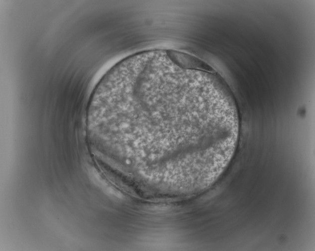 X0000113860948200910151233