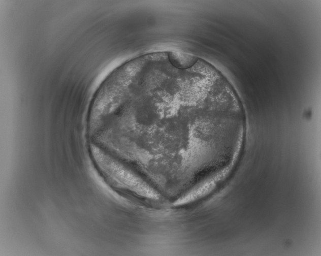 X0000113860949200910151233