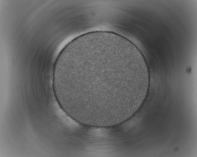 X0000113860950200910151233