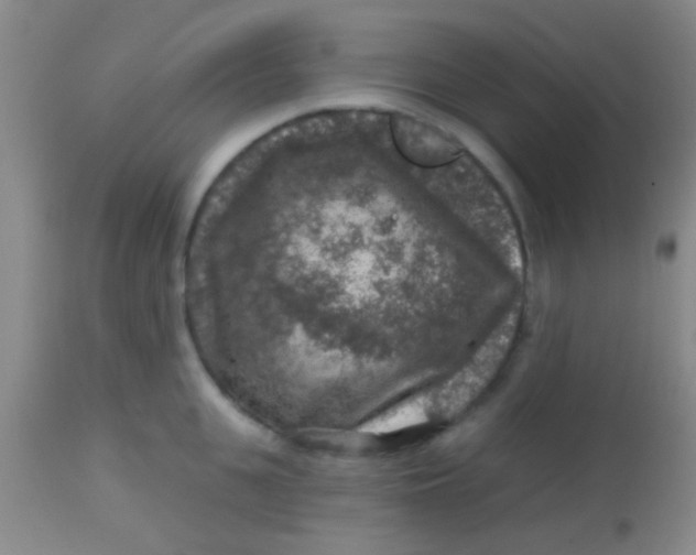 X0000113860951200910151233