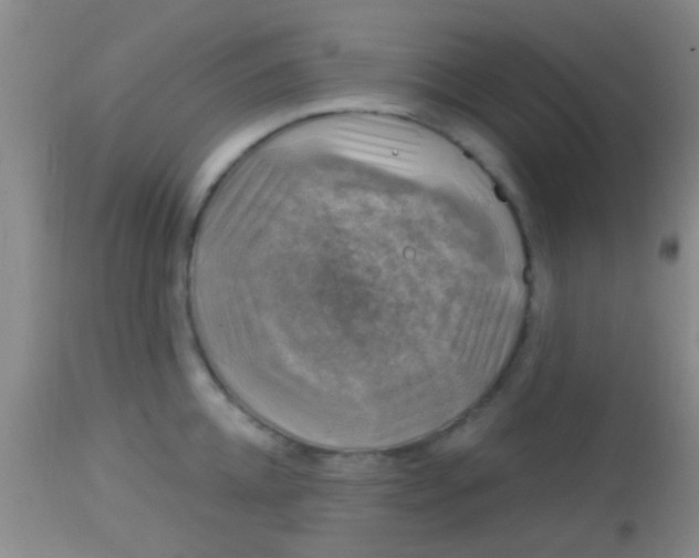 X0000113860952200910151233