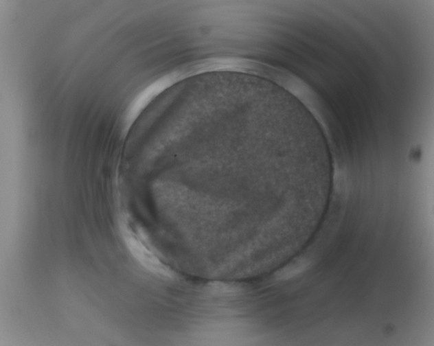 X0000113860954200910151233