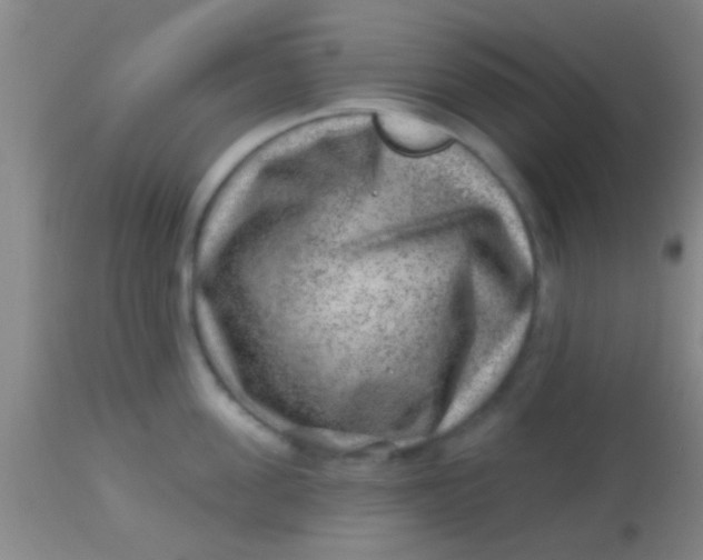 X0000113860955200910151233