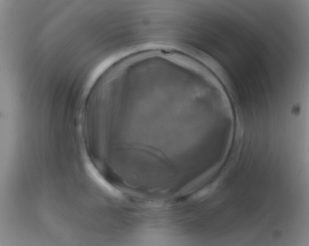 X0000113860958200910151233
