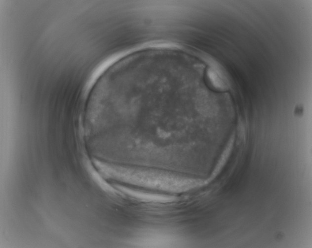 X0000113860959200910151233