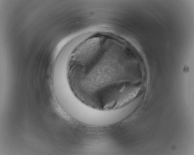 X0000113860960200910151233