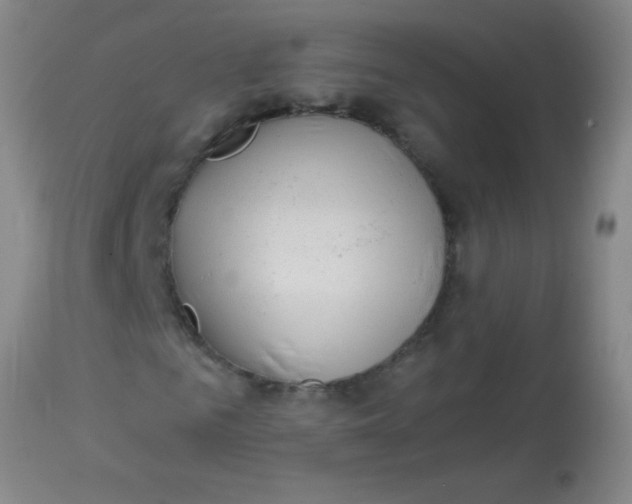 X0000113860961200910151232