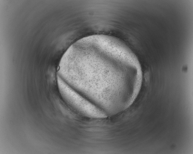 X0000113860963200910151232