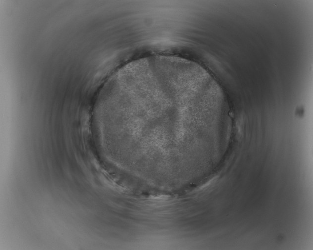 X0000113860964200910151232
