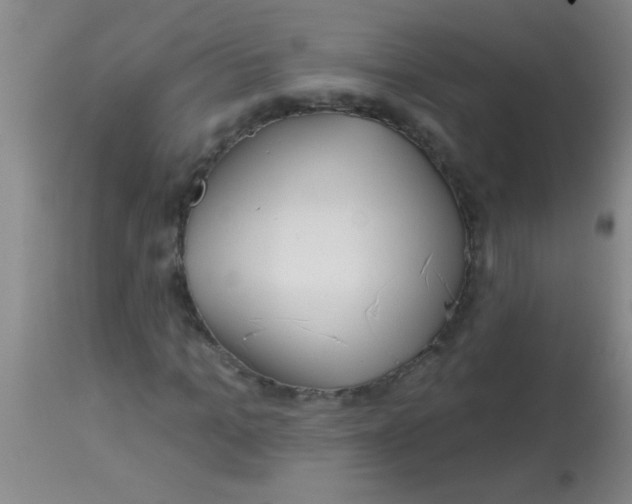 X0000113860965200910151232