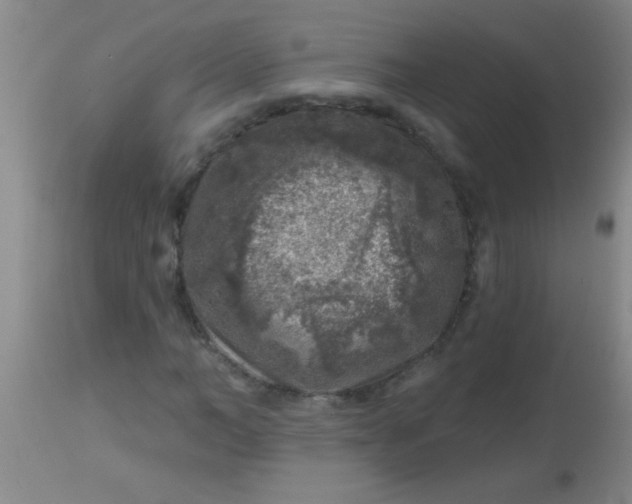 X0000113860966200910151232