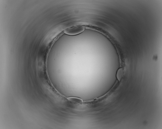 X0000113860969200910151232