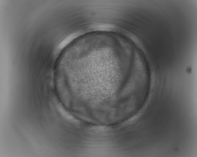 X0000113860970200910151232