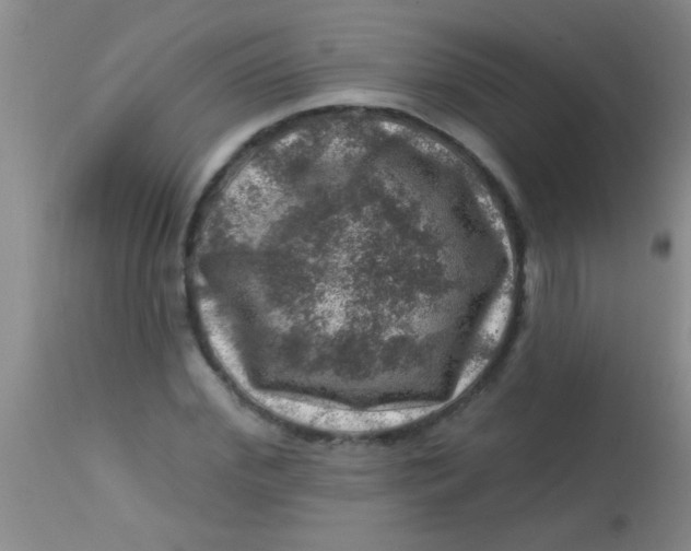 X0000113860972200910151232