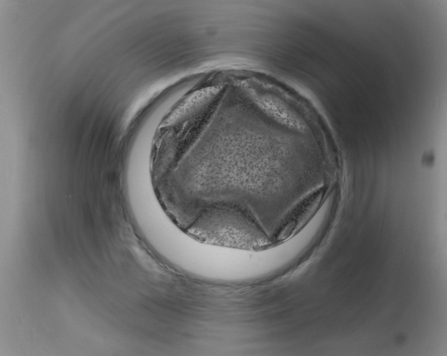 X0000113860973200910151232