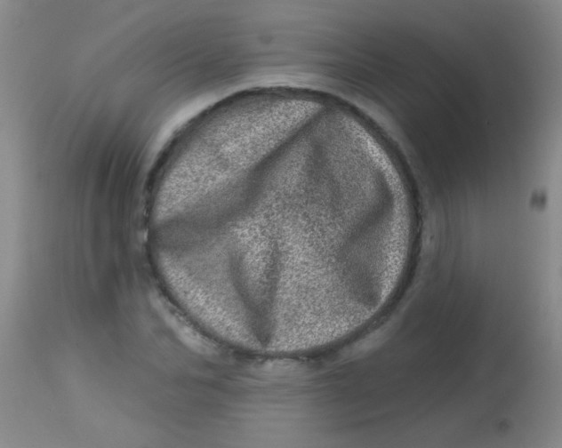 X0000113860974200910151232